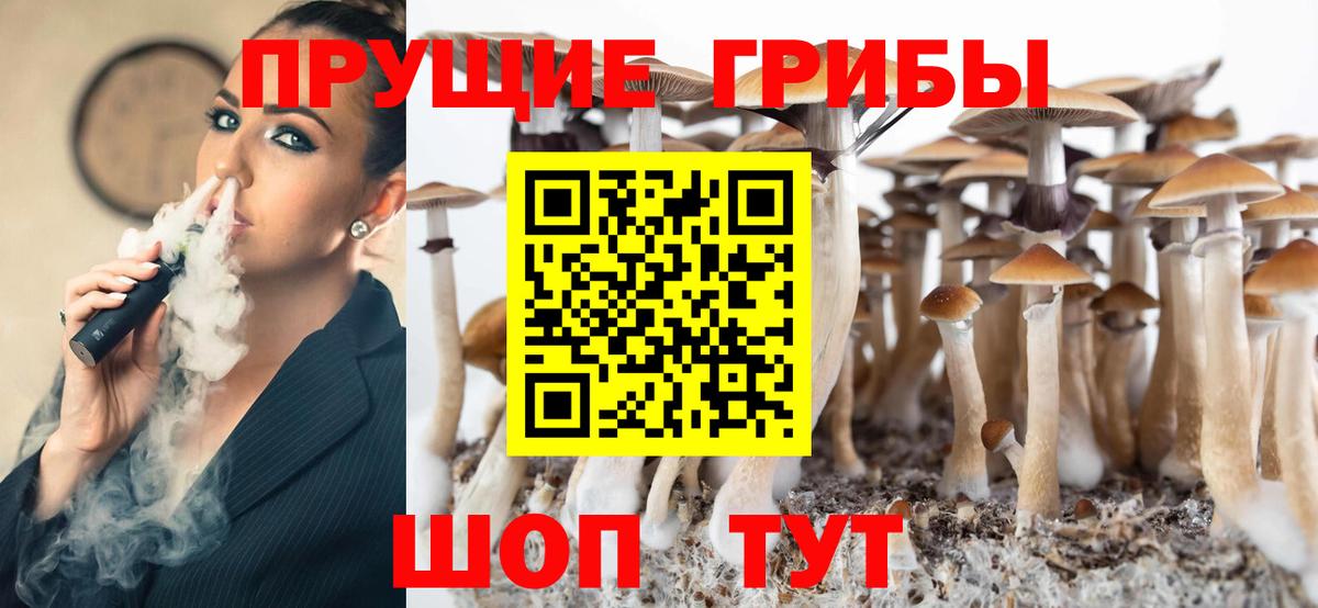 Братск  Псилоцибиновые грибы Magic Shrooms  Галлюциногенные грибы ЛСД  Вход с VPN 